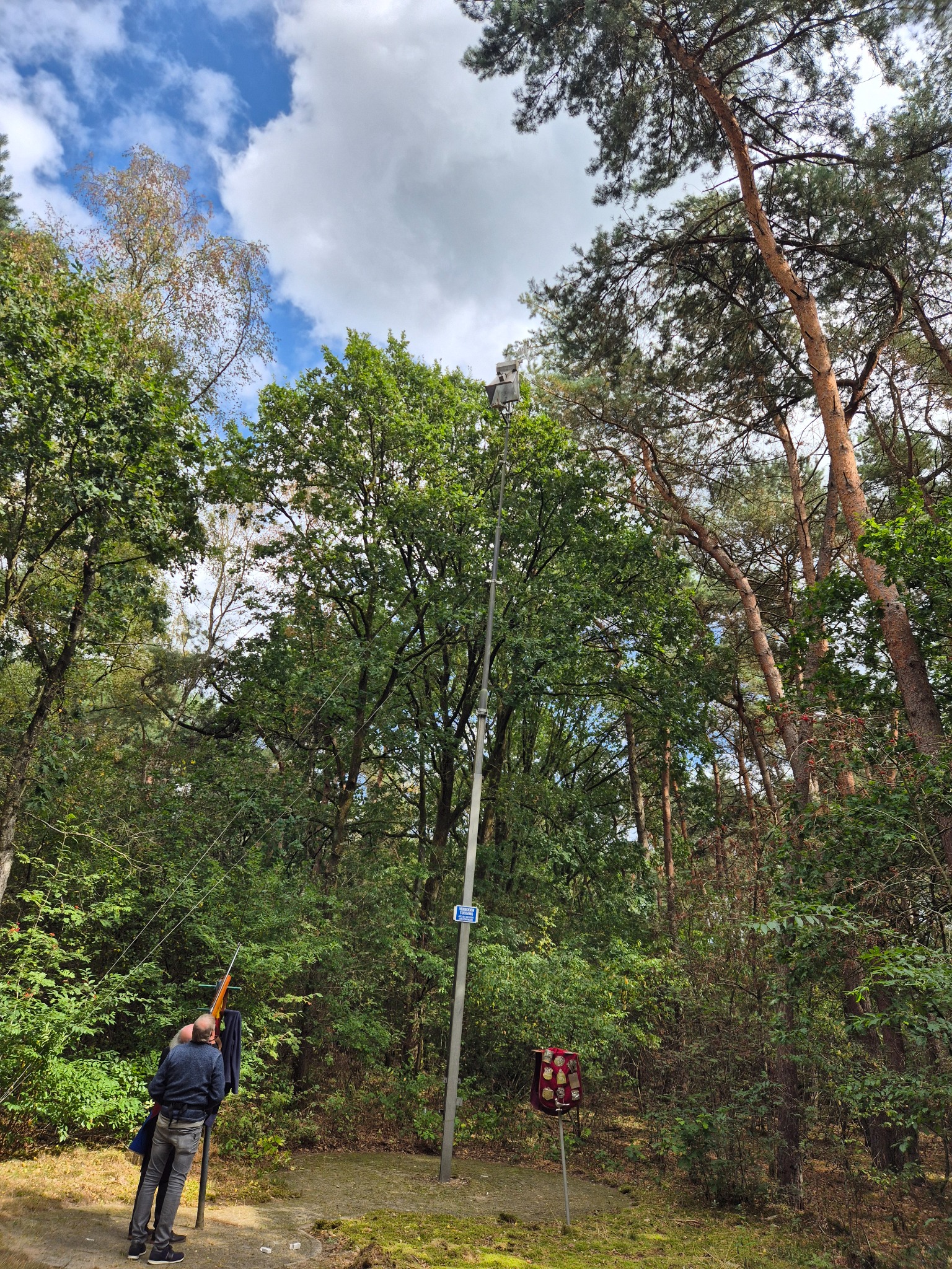 De schutsboom in het bos